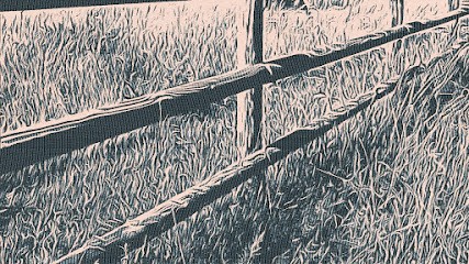 Kleznouche - Cours Particuliers Musique, Professeur de Musique à Ancinnes