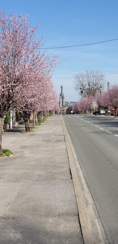 Municipal Ecole Of Music Christmas Bonamy, Ecole de Musique à Solre-le-Château