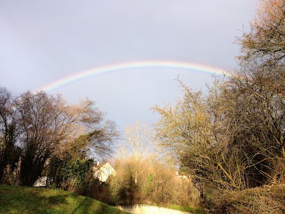 Laure Thérapie: Le Violon Autrement, Professeur de Musique à Magny-les-Hameaux