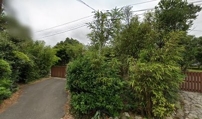 Course De Chant Capbreton, Professeur de Musique à Capbreton