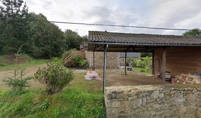 During Violon Claire Mocquard, Professeur de Musique à Saint-Quay-Perros