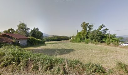 During Violon 74, Professeur de Musique à Poisy