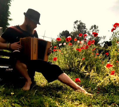 Graff, Zik' Et Coquelicots, Professeur De Musique à Pipriac