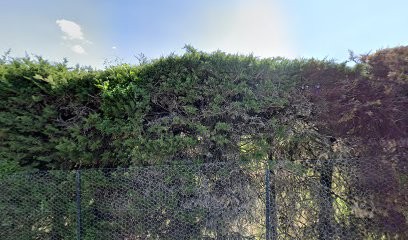 Pierre Ruscher, Professeur de Musique à Grasse