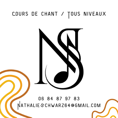 Ns Cours De Chant Pau Professeur De Musique à Pau