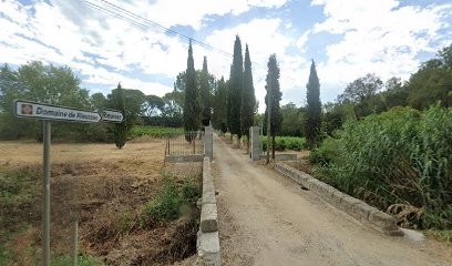 Clave De Sol, Professeur de Musique à Gignac
