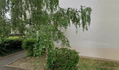 Ledernier Mapane, Professeur de Musique à Joué-lès-Tours