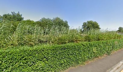 Les Voix De Losa, Ecole de Musique à Sanguinet