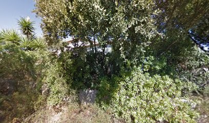 Coursprofs, Professeur de Musique à Roquebrune-sur-Argens