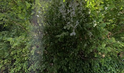 Cours De Chant Cours De Guitare, Professeur de Musique à Lardy