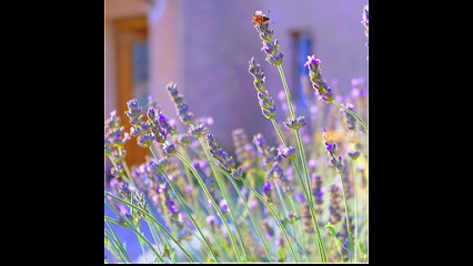 Ecole De Chant Le Coeur A Chanter, Ecole de Musique à Saint-Pierre-de-Vassols