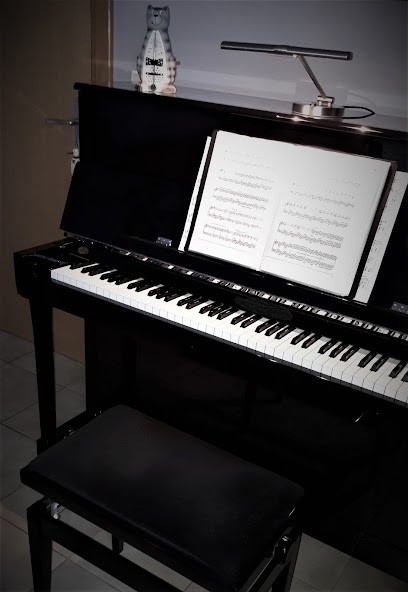 Megel Olivier Leçons De Musique, Piano, Professeur de Musique à Jungholtz