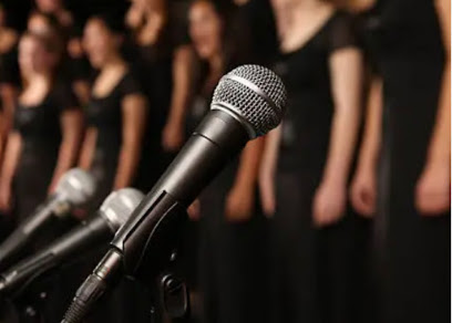 Professeur Chant Coach Vocal, Professeur De Musique à Junas