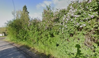 Benjamin-César Donguy, Ecole de Musique à Saint-Pourçain-sur-Sioule