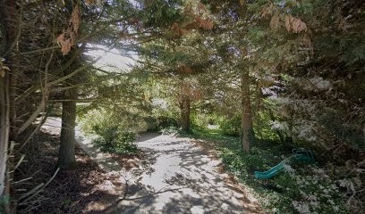 Guitar Lessons Cyrille Château-Thierry, Professeur de Musique à Château-Thierry