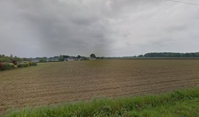 Course Accordion Diatonique Morbihan, Professeur de Musique à Pluméliau