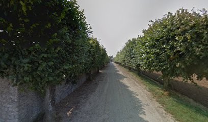 Damerose Chant, Professeur de Musique à Houville-la-Branche