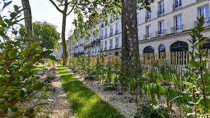 Formation vocale Nantes / Cours de chant Nantes, Professeur de Musique à Nantes