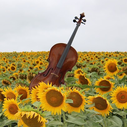 Of The Life Music, Professeur de Musique à Ambres